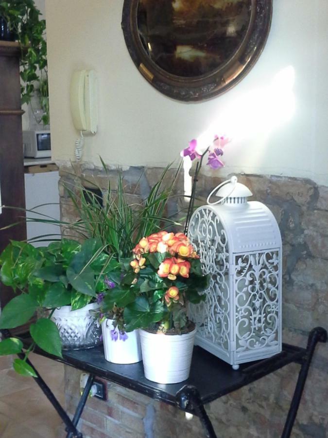 B&B Happiness In The Country 브레셀로 외부 사진